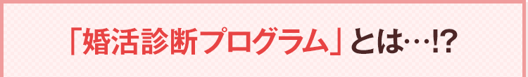 「婚活診断プログラム」とは？