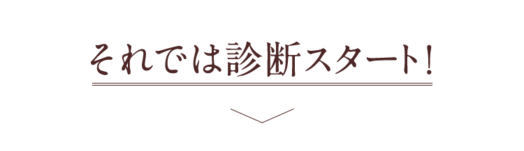 それでは診断スタート！